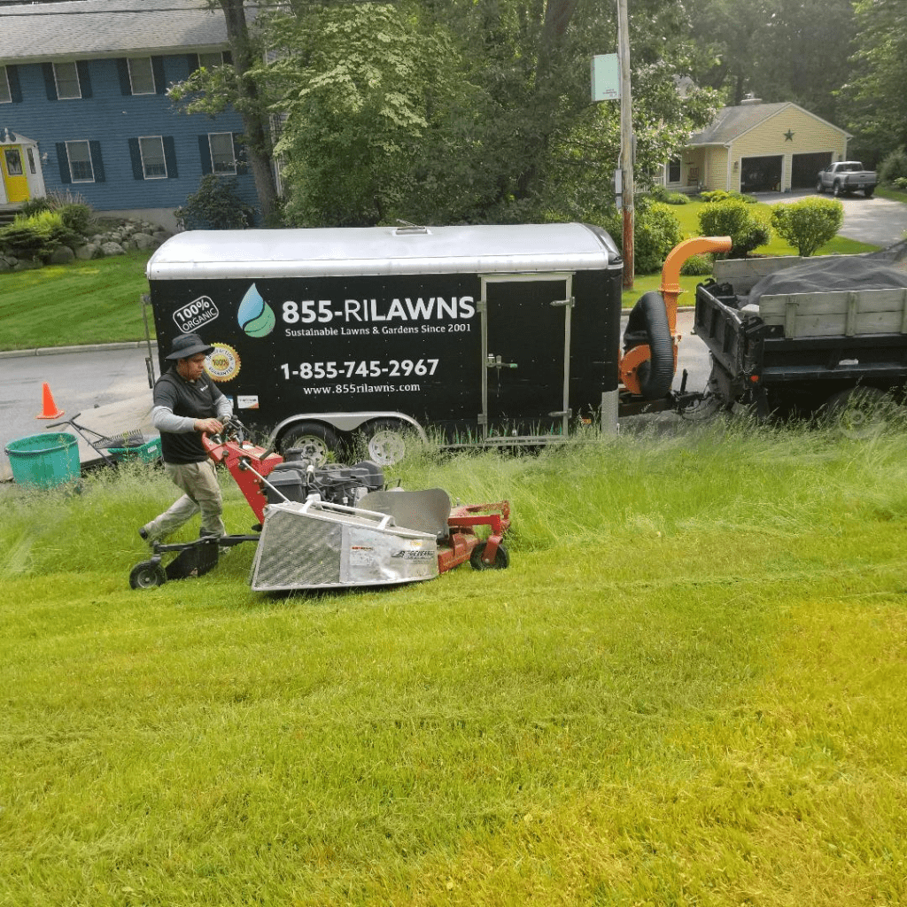 Weekly Lawn Mowing Service vs. Bi-Weekly: What's Best for Your Lawn?