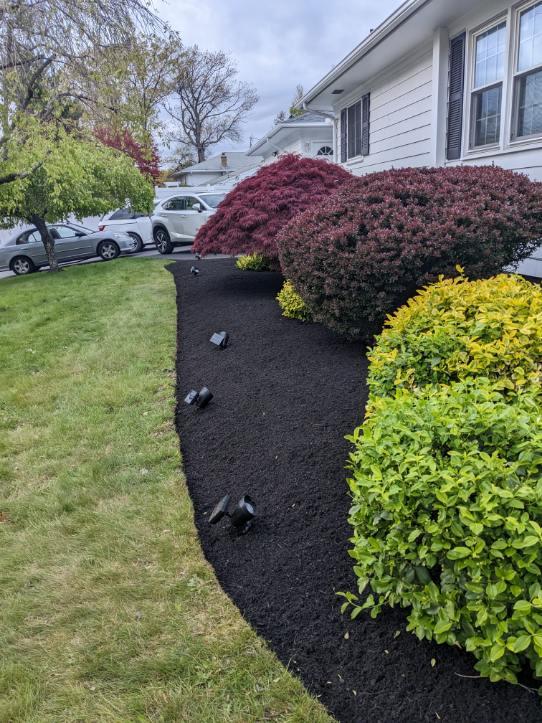 Mulch Application 101: 1 Smart Ways to Protect Your Landscape