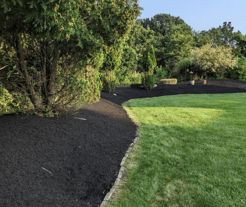 How to Mulch for Beginners: A Step-by-Step Guide