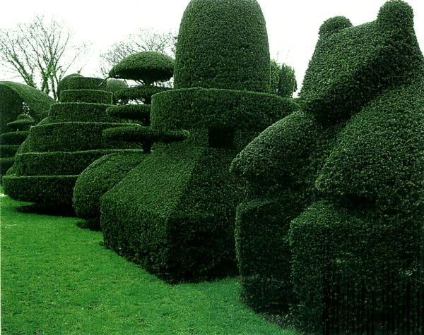 Hedge Trimming vs. Hedge Shaping: What’s the Difference?