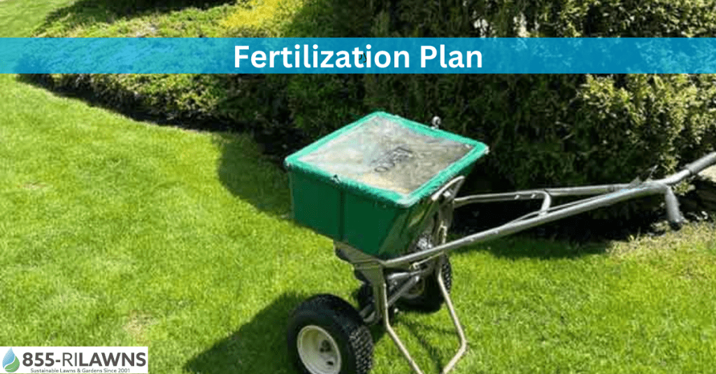 How to Create a Customized Fertilization Plan for Your Lawn