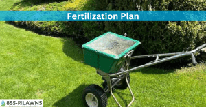 How to Create a Customized Fertilization Plan for Your Lawn
