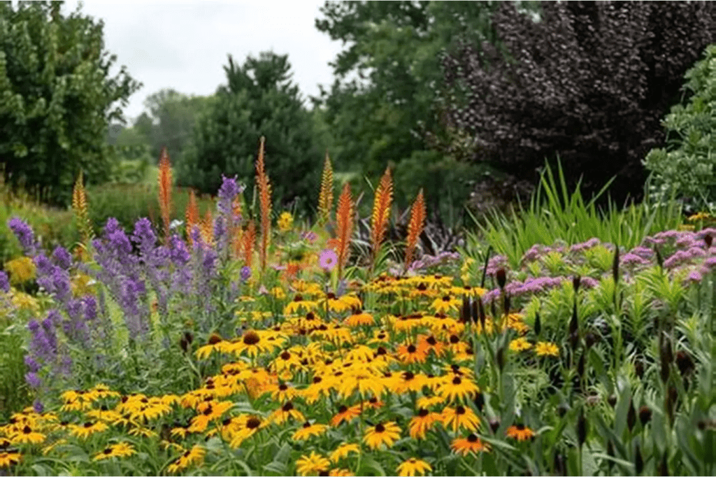8 Steps to Create a Wildlife Habitat Garden