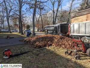 How-to-Manage-and-Recycle-Yard-Waste-After-Fall-Cleanup