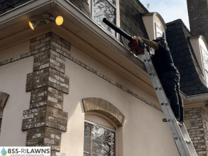 The-Importance-of-Checking-for-Gutter-Leaks-During-Cleaning