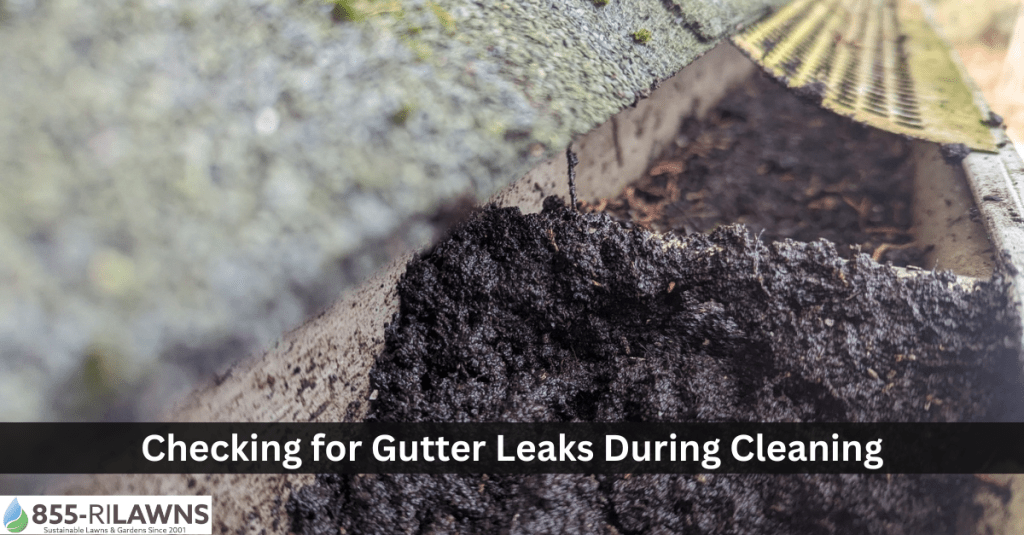 The-Importance-of-Checking-for-Gutter-Leaks-During-Cleaning