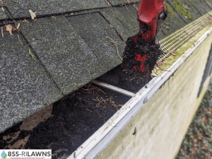 The-Importance-of-Checking-for-Gutter-Leaks-During-Cleaning