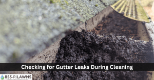 The-Importance-of-Checking-for-Gutter-Leaks-During-Cleaning