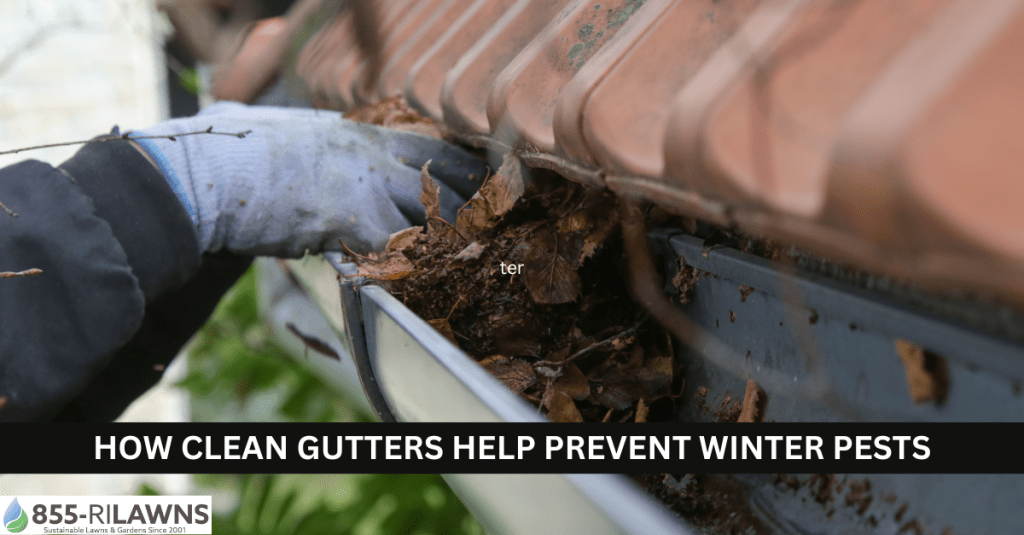 How-Clean-Gutters-Help-Prevent-Winter-Pests