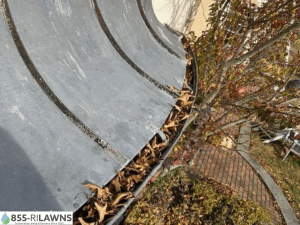 How-Clean-Gutters-Help-Prevent-Winter-Pests