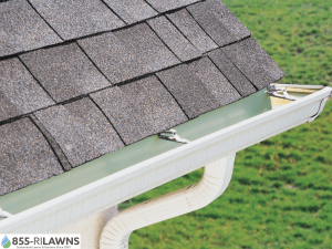 How-Clean-Gutters-Help-Prevent-Winter-Pests