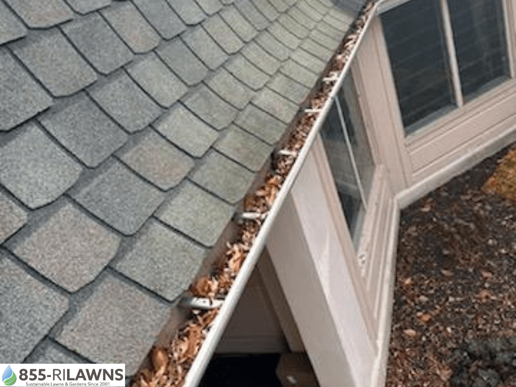 How-Clean-Gutters-Help-Prevent-Winter-Pests