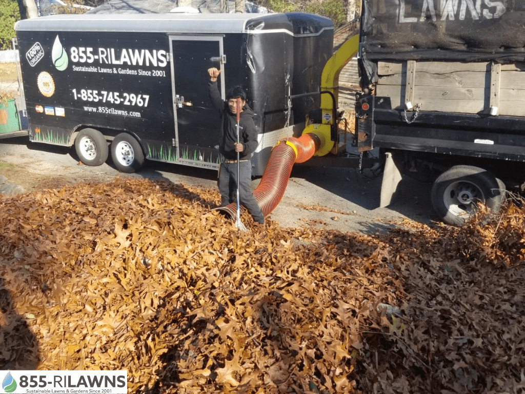 How-Fall-Cleanup-Reduces-Property-Safety-Risks