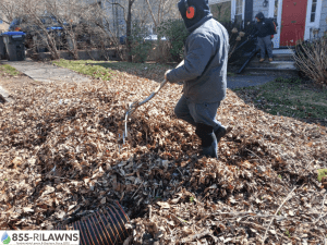 How-Fall-CleaHow-Fall-Cleanup-Reduces-Property-Safety-Risksnup-Reduces-Property-Safety-Risks