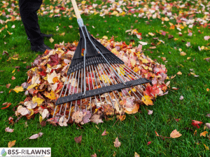 LatLate-Season-Pruning-Matters-During-Fall-Cleanupe-Season-Pruning-Matters-During-Fall-Cleanup