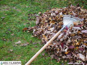 Late-Season-Pruning-Matters-During-Fall-Cleanup