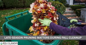 Late-Season-Pruning-Matters-During-Fall-Cleanup