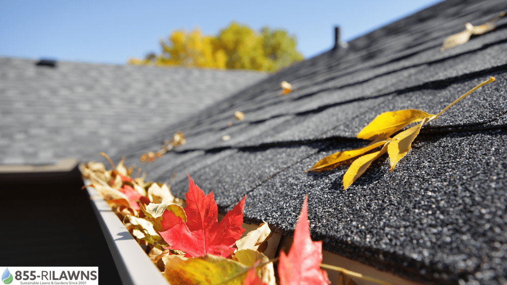 Why-Gutter-Cleaning-Matters-After-Heavy-Leaf-Fall-