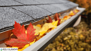 Why-Gutter-Cleaning-Matters-After-Heavy-Leaf-Fall