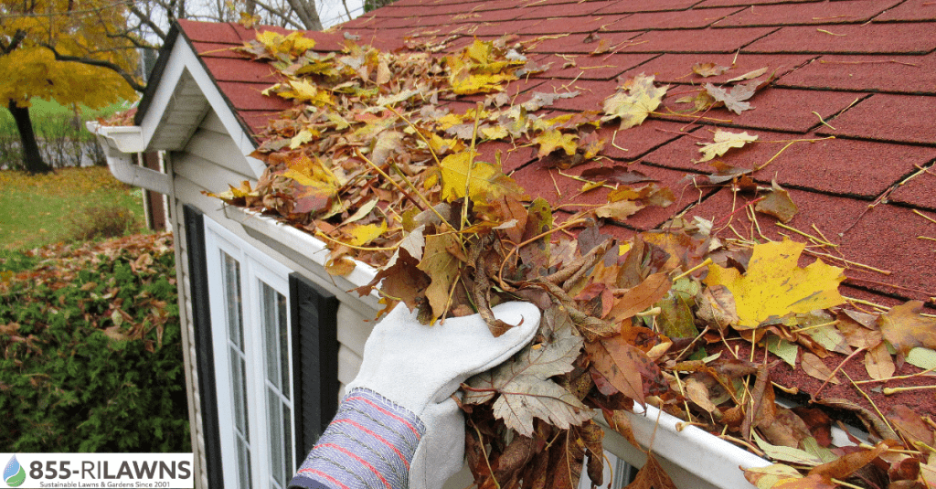 Why-Gutter-Cleaning-Matters-After-Heavy-Leaf-Fall-