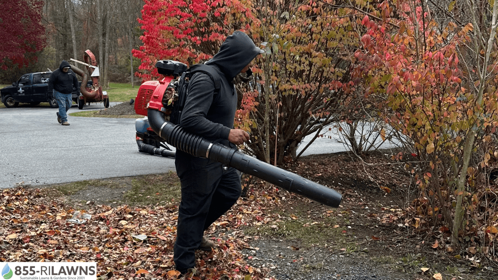 Why-Fall-Cleanup-Should-Be-a-Yearly-Routine