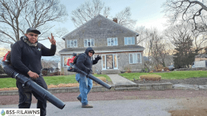 Why-Fall-Cleanup-Should-Be-a-Yearly-Routine