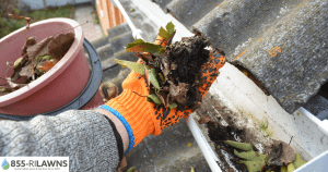 What-Happens-When-Gutter-Debris-Freezes