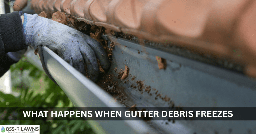 What-Happens-When-Gutter-Debris-Freezes