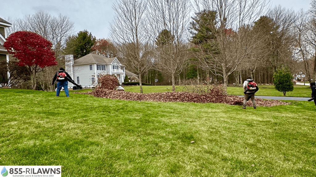 Why-Fall-Cleanup-Matters-for-Proper-Drainage