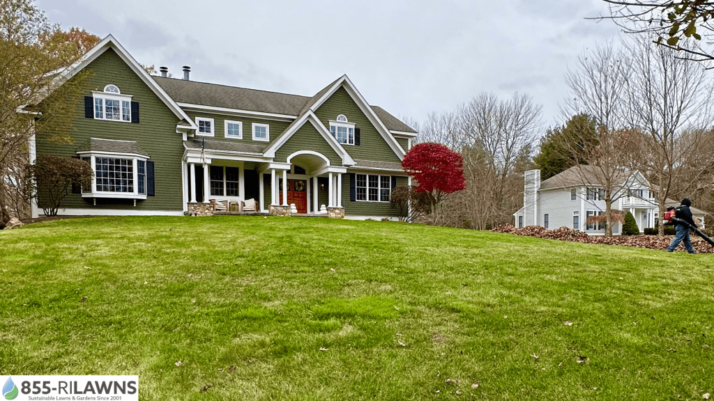 Why-Fall-Cleanup-Matters-for-Proper-Drainage