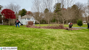 Why-Fall-Cleanup-Matters-for-Proper-Drainage