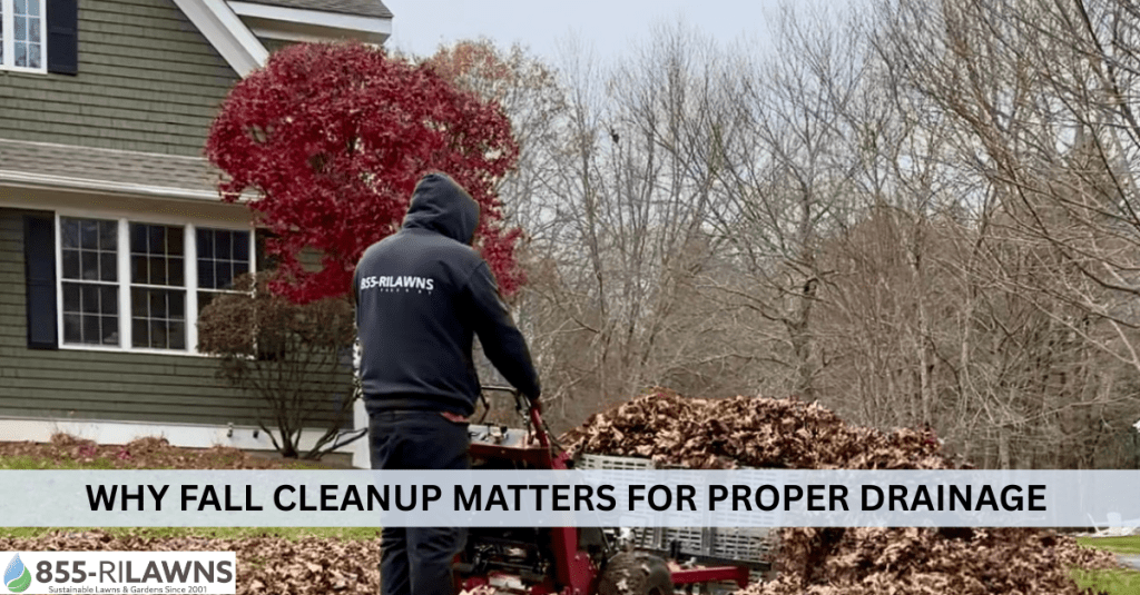 Why-Fall-Cleanup-Matters-for-Proper-Drainage