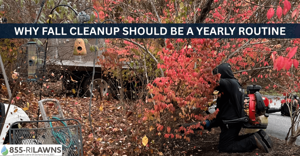 Why-Fall-Cleanup-Should-Be-a-Yearly-Routine