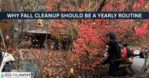 Why-Fall-Cleanup-Should-Be-a-Yearly-Routine