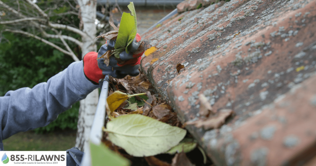 Why-Fall-Cleanup-and-Gutter-Cleaning-Go-Together