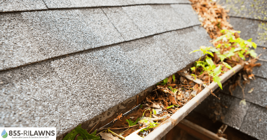 Why-Fall-Cleanup-and-Gutter-Cleaning-Go-Together