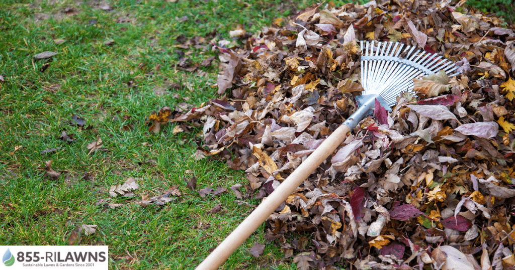 Why-Fall-Cleanup-and-Gutter-Cleaning-Go-Together