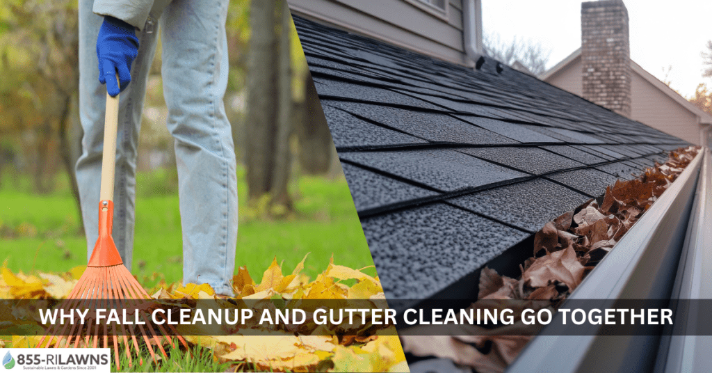 Why-Fall-Cleanup-and-Gutter-Cleaning-Go-Together
