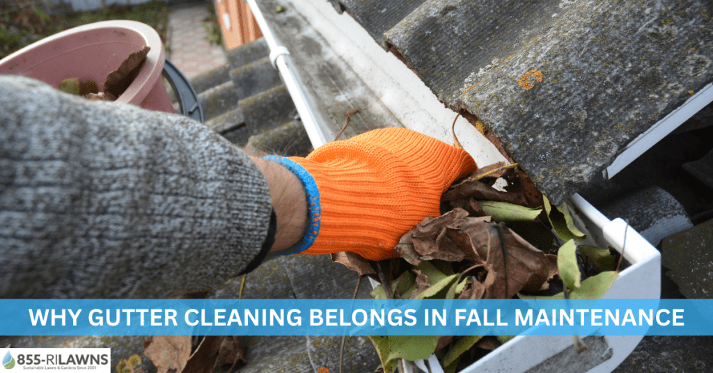 Why-Gutter-Cleaning-Belongs-in-Fall-Maintenance