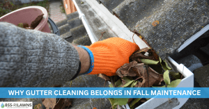 Why-Gutter-Cleaning-Belongs-in-Fall-Maintenance