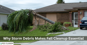 Why-Storm-Debris-Makes-Fall-Cleanup-Essential