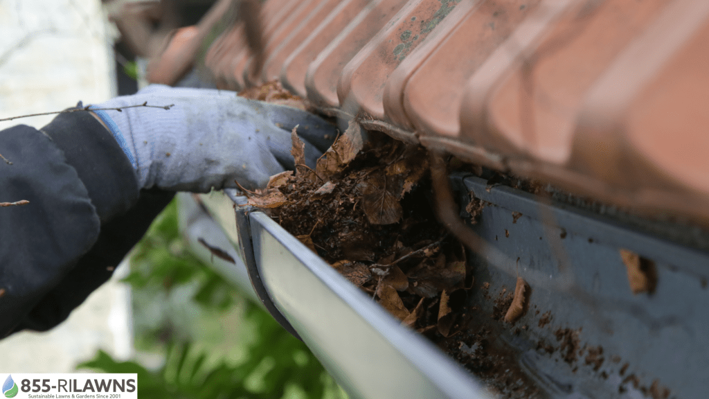 Winter-Damage-Caused-by-Missed-Gutter-Debris