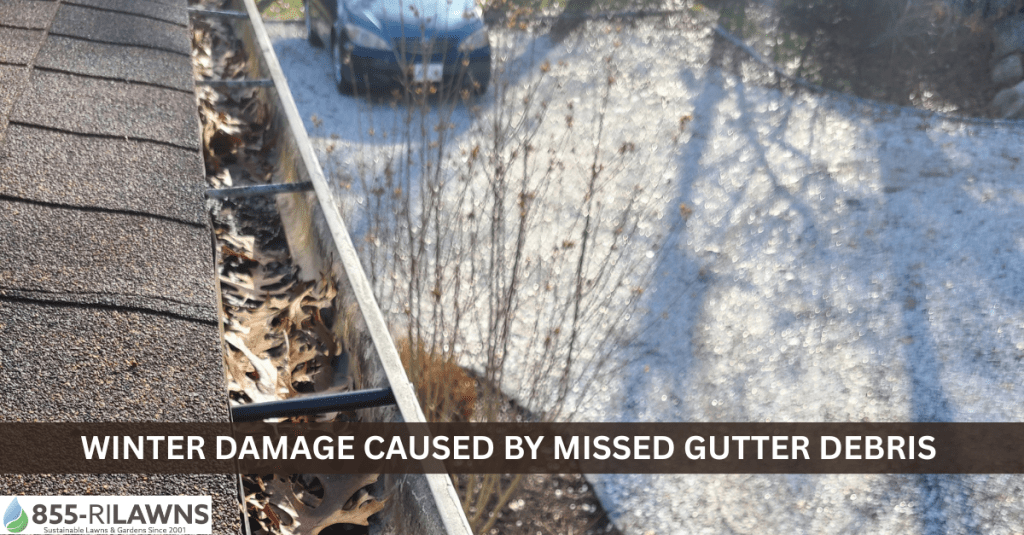 Winter-Damage-Caused-by-Missed-Gutter-Debris