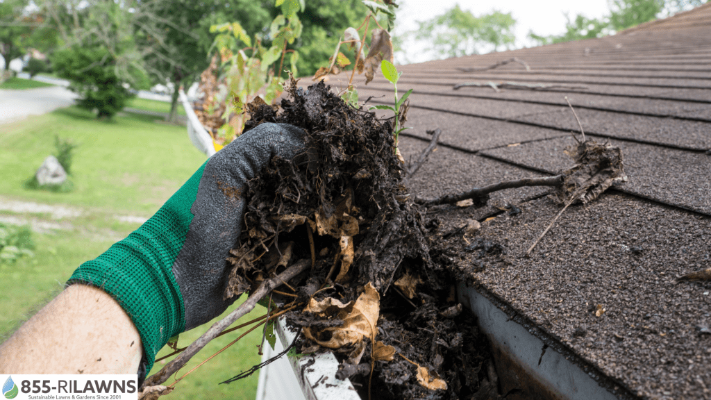 Winter-Damage-Caused-by-Missed-Gutter-Debris