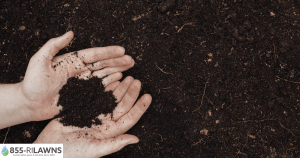 How-Spring-Thaw-Impacts-Your-Lawns-Soil-Health