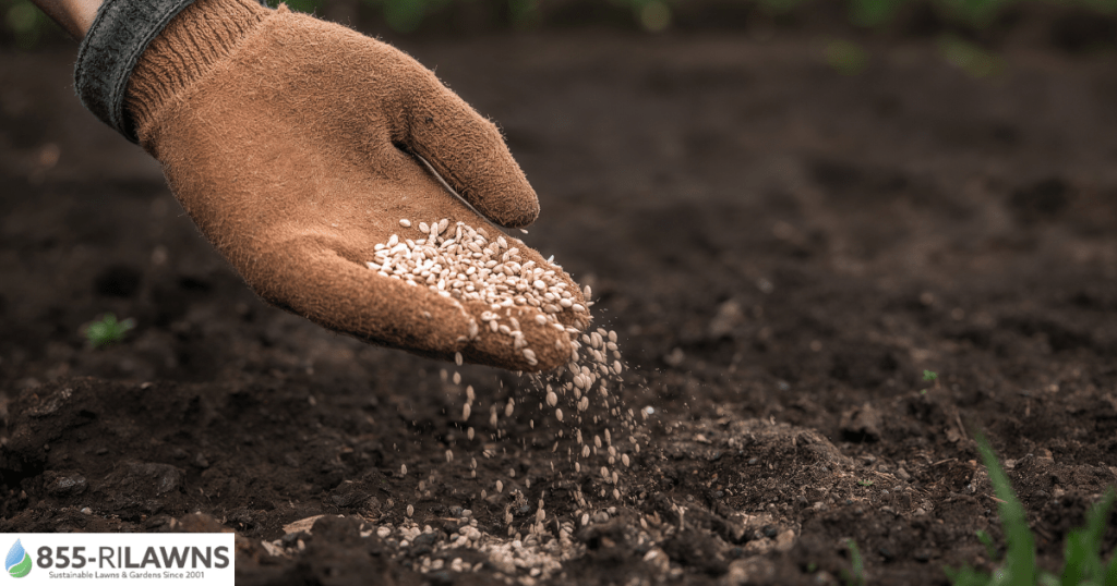 How-Spring-Thaw-Impacts-Your-Lawns-Soil-Health