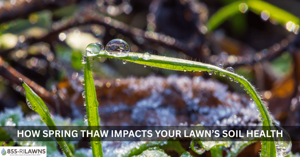 How-Spring-Thaw-Impacts-Your-Lawns-Soil-Health