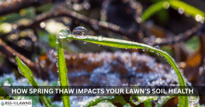 How-Spring-Thaw-Impacts-Your-Lawns-Soil-Health