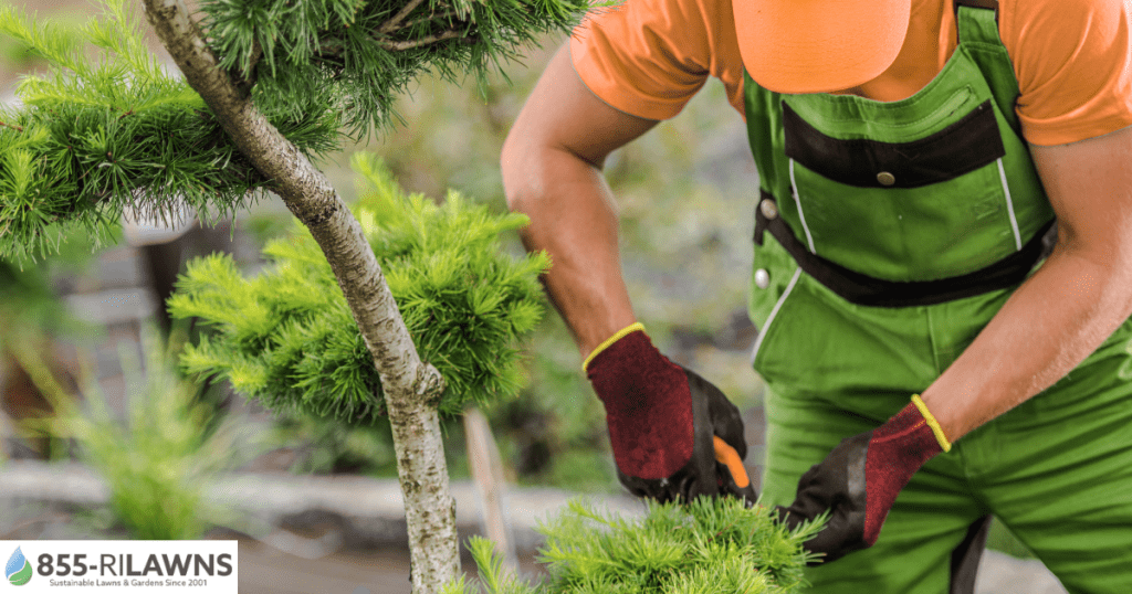 What-Spring-Cleanup-Includes-and-Why-It-Matters