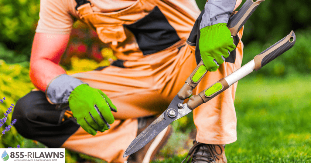 What-Spring-Cleanup-Includes-and-Why-It-Matters